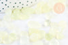 Sable chips pierre jade xiajuan naturel 7-18mm, x20gr (G5776)