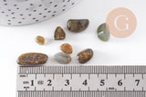 Sable chips pierre labradorite naturelle 8~21mm non percé, x20gr (G0262)