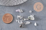 Sable chips pierre lodolite naturelle 7-16mm non percé, x20gr (G3503)