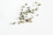 Sable cube Pyrite naturelle 2~5mm non percé, x20gr (G3676)