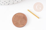 Tubes rond droit laiton doré 3.8gr 20mm, x50 (G4764)