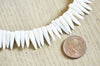 perle dent corail blanc,fabrication bijoux corail naturel,perle coquillage,coquillage blanc,11-17mm,le fil de 120 perles G4779