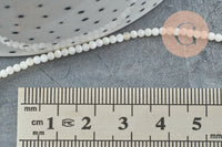 Perle ronde nacre blanche,perles coquillage,coquillage naturel,fil 40cm,2.5mm, x1 (G5449)