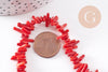 perles bambou de mer teinté imitation corail rouge 4-20mm,perle en coquillage naturel, x1 fil de 38cm (G4709)