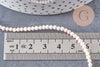 perles ronde coquillage rose naturel ,perle ronde rose clair coquillage, 2.5-3mm, le fil de 140 perles, x1 (G3843)
